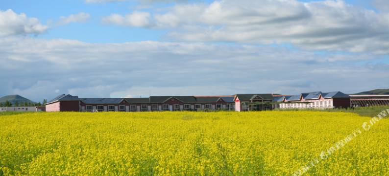 坝上草原嘉年华酒店图片