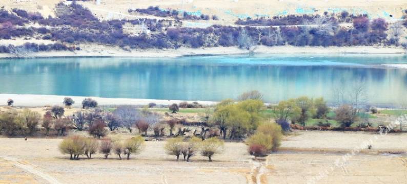 米林远方有个家精品客栈图片