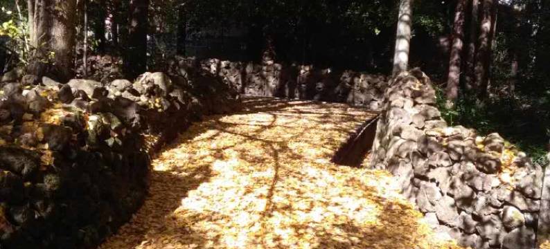 腾冲肖荣农家乐图片