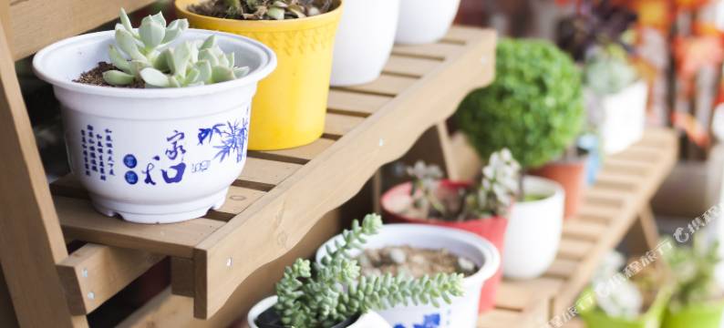 青岛鲲鹏主题酒店图片