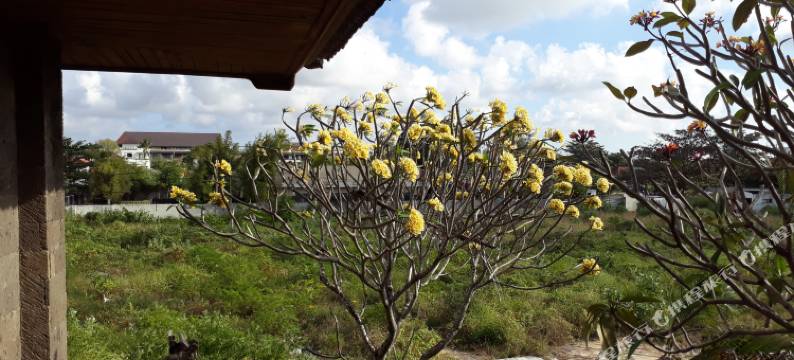 巴厘岛莎丽塞加拉水疗度假酒店(Sari Segara Resort)图片
