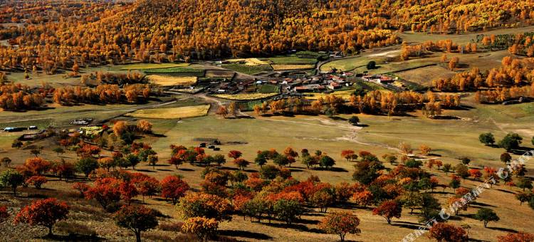 乌兰布统景区千里马庄园图片