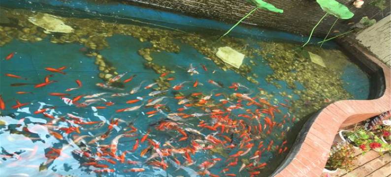 镇平尚玥酒店图片