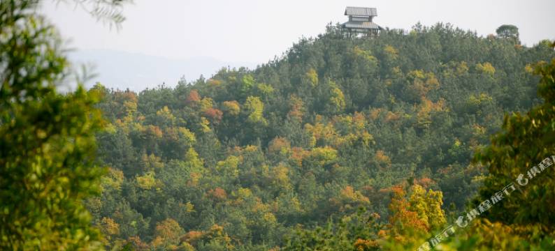 聚龙人文酒店(惠安广场店)图片