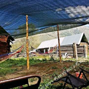 阿勒泰人口多还是北屯人口多_阿勒泰北屯镇中学图片(2)