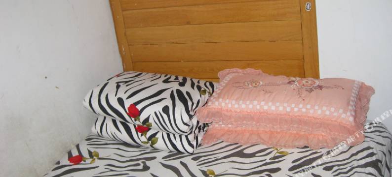 丹东鸭江春招待所图片