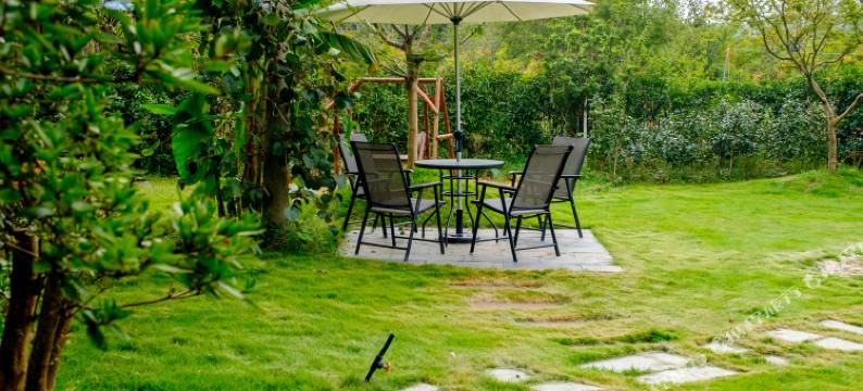 莫干山千日彩叶客栈图片