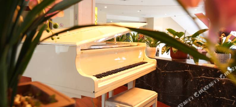 临安青荷酒店图片