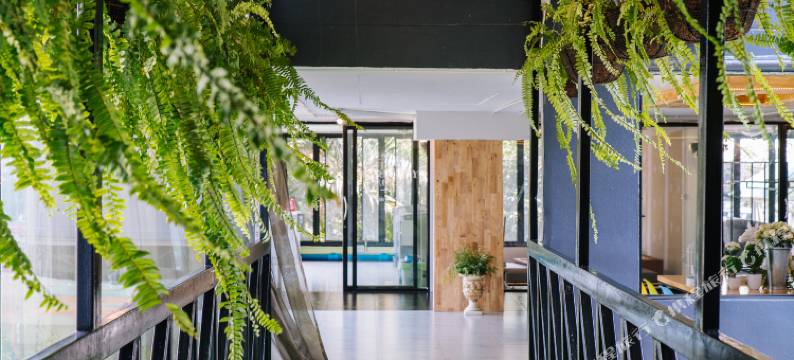 清迈R1宁曼酒店(R1 Nimman Hotel Chiangmai)图片