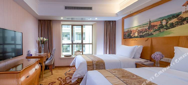 维也纳酒店(南宁科园大道地铁站店)图片