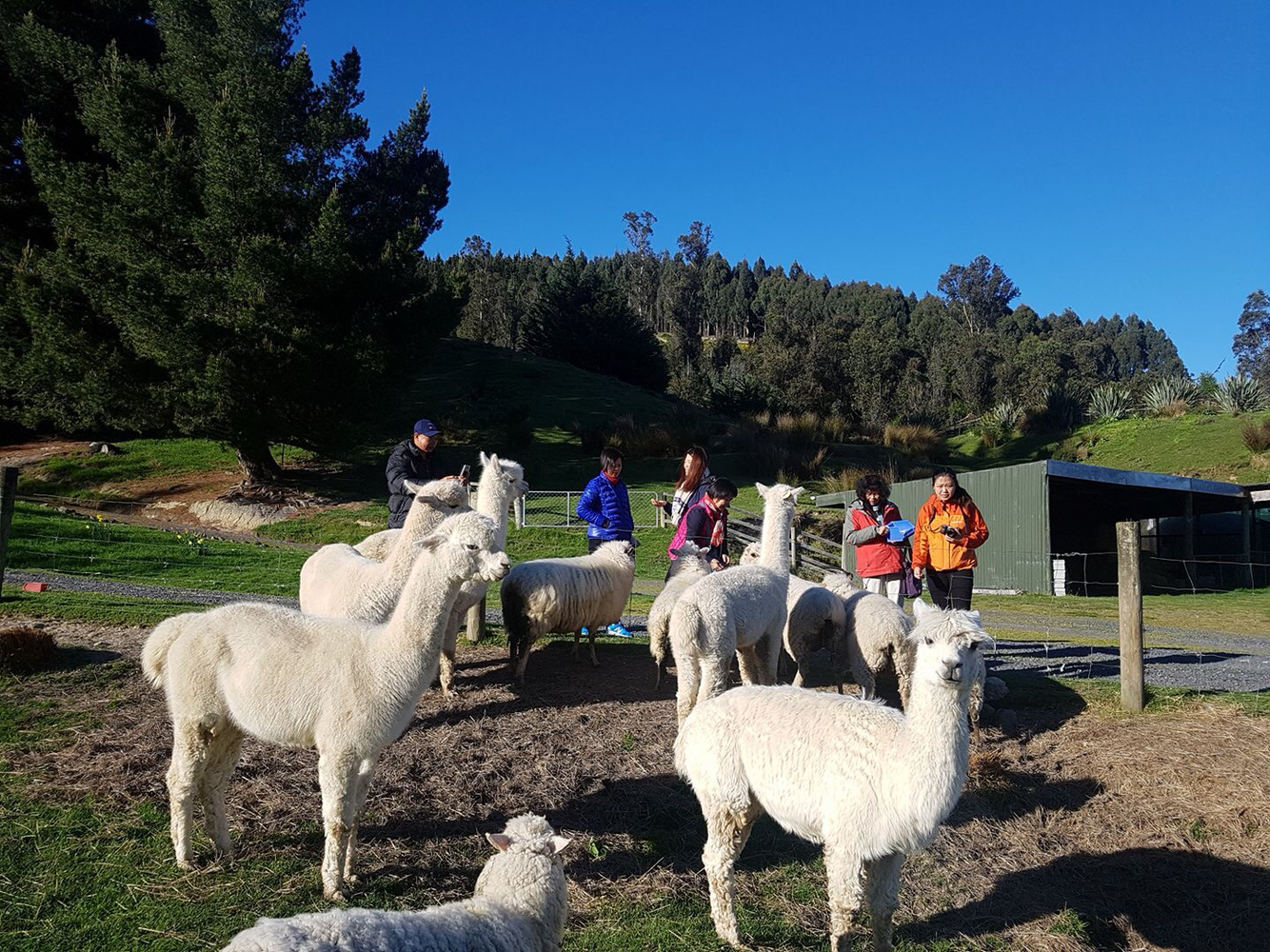 Hunters MoonOver view