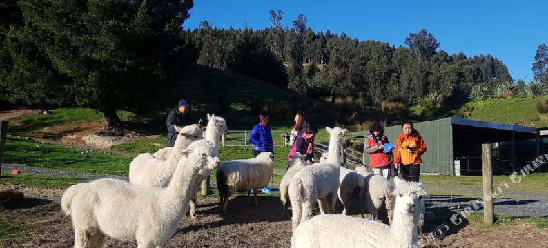 猎人月亮住宿加早餐旅馆(Hunters Moon)图片