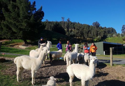 Hunters MoonHotel Overview