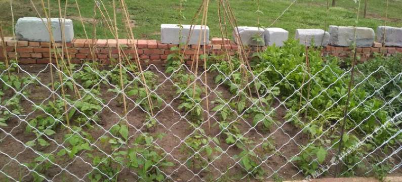 丰宁乔家大院农家院图片