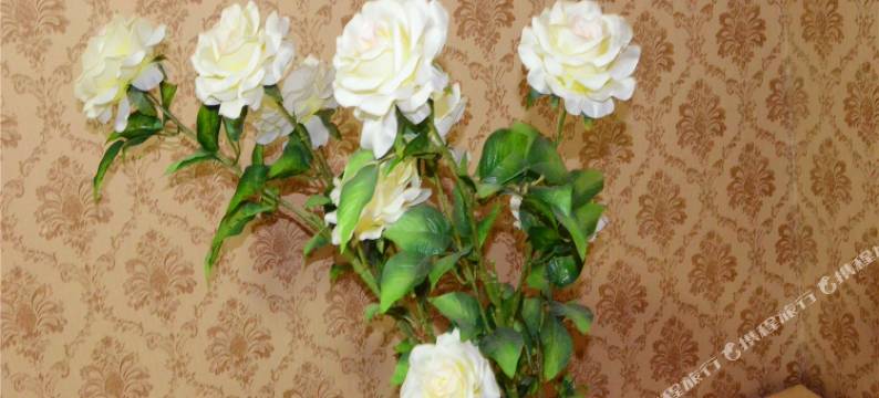 新概念家庭民宿(大同东信店)图片