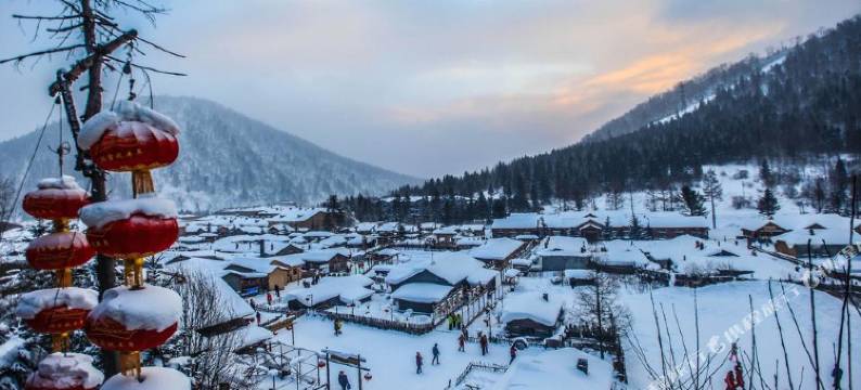 雪谷映山红客栈图片