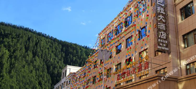 迭部藏巴拉大酒店(迭部县电尕中心广场店)图片