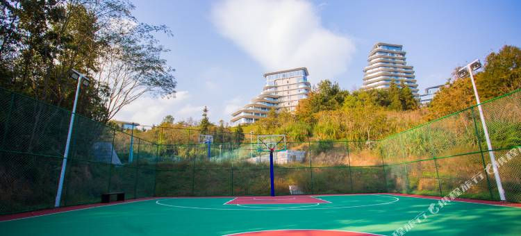 黄山太平湖松果度假酒店图片