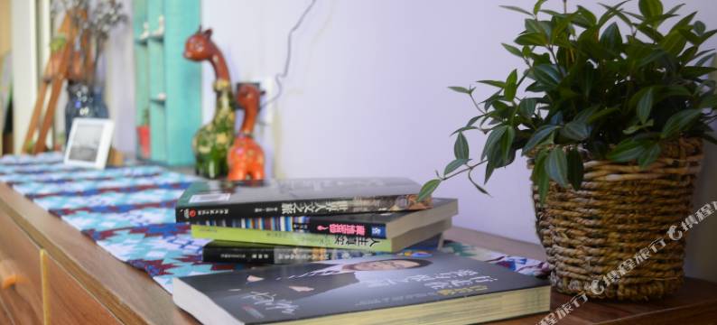 郑州乐乎美居普通公寓图片