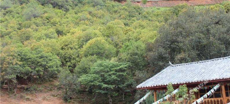 泸沽湖阿陆庄园图片