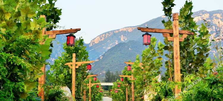 登封少室山寨酒店图片