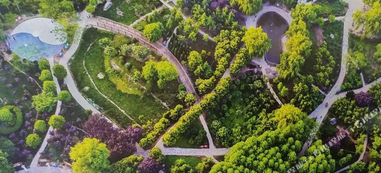 太康宏泰国际大酒店(县政府店)图片