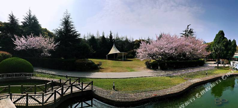 上海金山宾馆图片