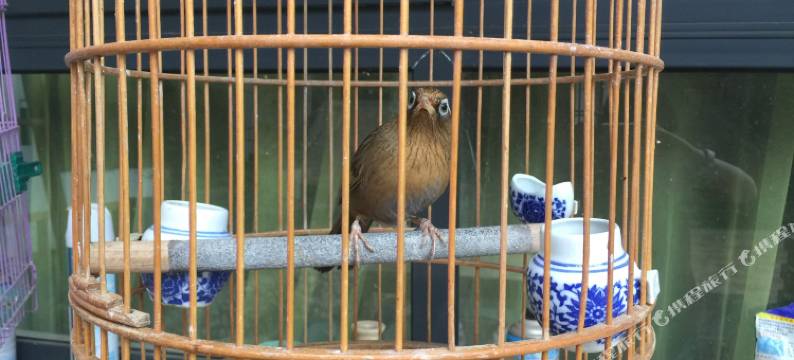 重渡沟花语堂客栈图片