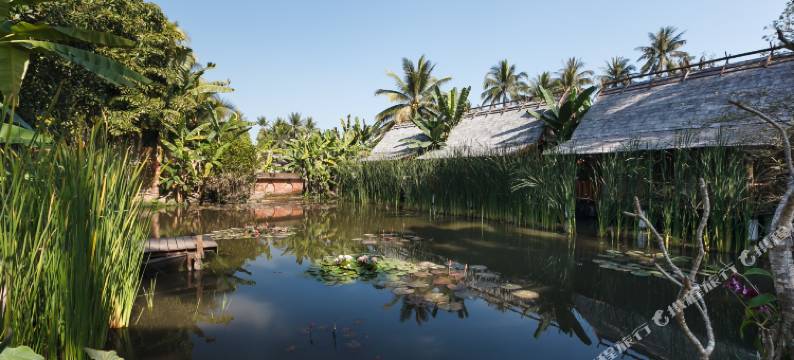 琅勃拉邦梅森黛拉布酒店(Maison Dalabua)图片