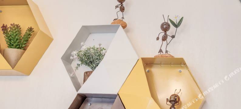 西安瀞瀞公寓(翠华路分店)图片