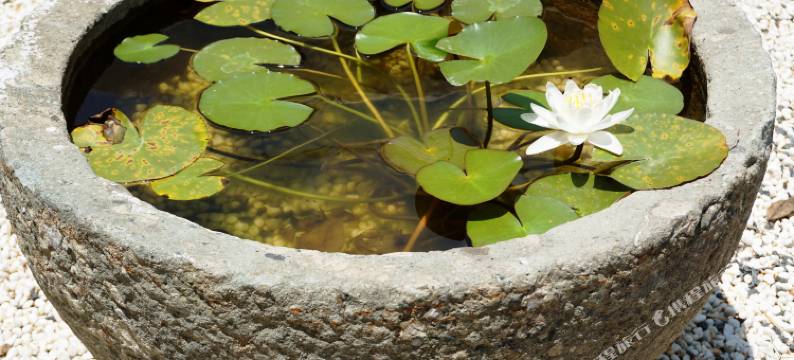 莫干山境舍酒店图片