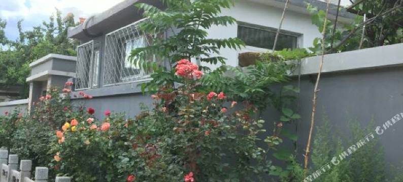 北京雪梅菊花客栈图片