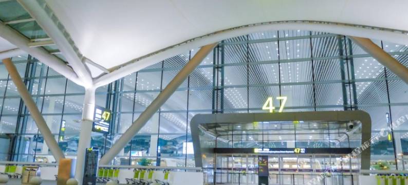 维丽斯·精选(广州新白云国际机场店)图片
