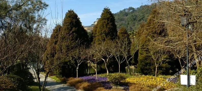 普陀山君来悦客栈图片