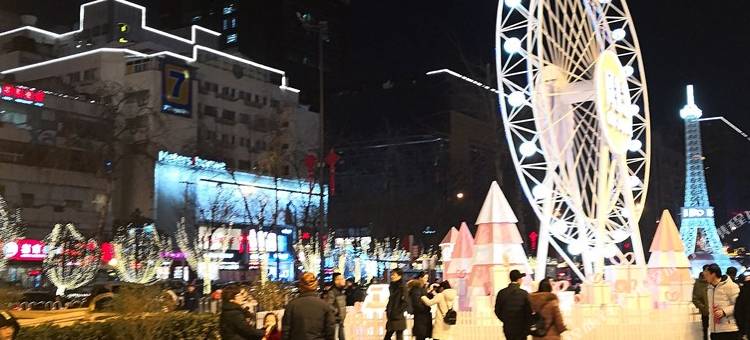 西安大雁塔田缘宜家公寓(与西影路分店)图片