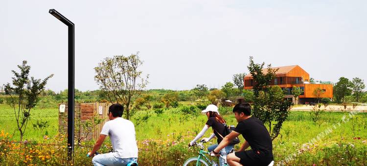 孝感卓尔小镇桃花驿图片