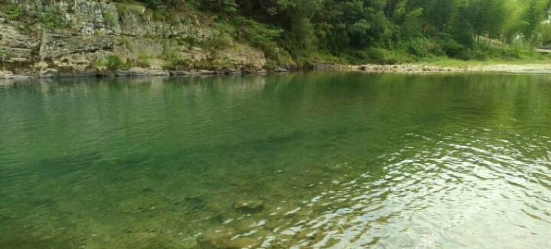 泾县老好客栈图片