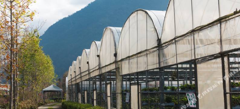 南投埔里枫桦台一渡假村(台一生态休闲农场)(驿栈)图片