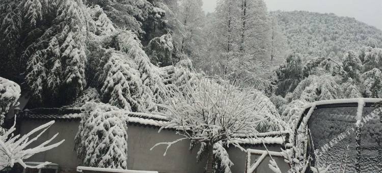 花筑·莫干山水墨山居民宿图片