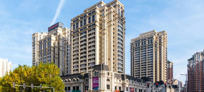 悦冠影音公寓(哈尔滨哈西高铁站万达广场店)图片