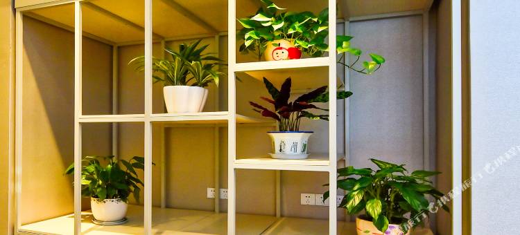 7天酒店(绵竹店)图片