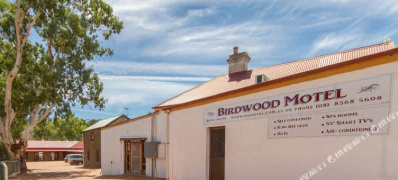 鸟林汽车旅馆(Birdwood Motel)图片