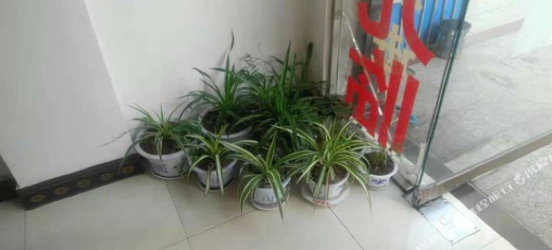 巢湖玫瑰旅馆图片