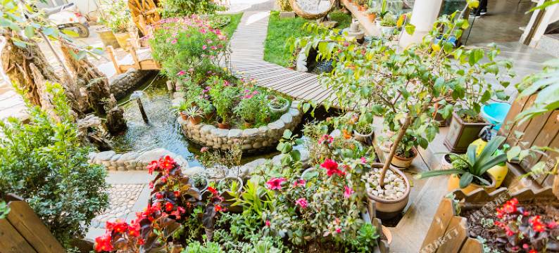 简舍客栈(大理古城店)图片