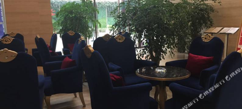 成都银悦国际度假公寓(梁家巷地铁站店)图片