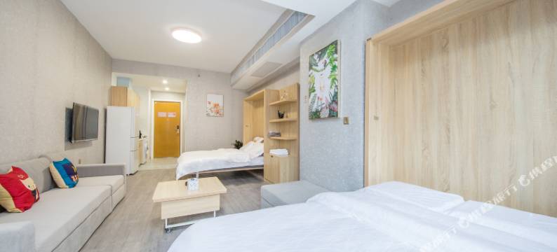 西安兰岛美家公寓图片