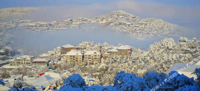 庐山金梦缘客栈(牯岭街心公园店)图片