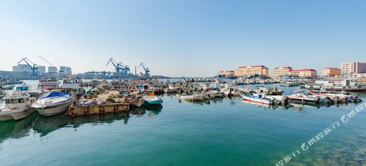青岛小芬芳公寓(晓港名城分店)图片