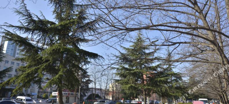 舞钢市越秀快捷酒店图片