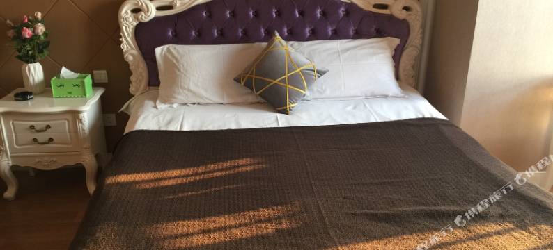 南京都市月光酒店公寓图片